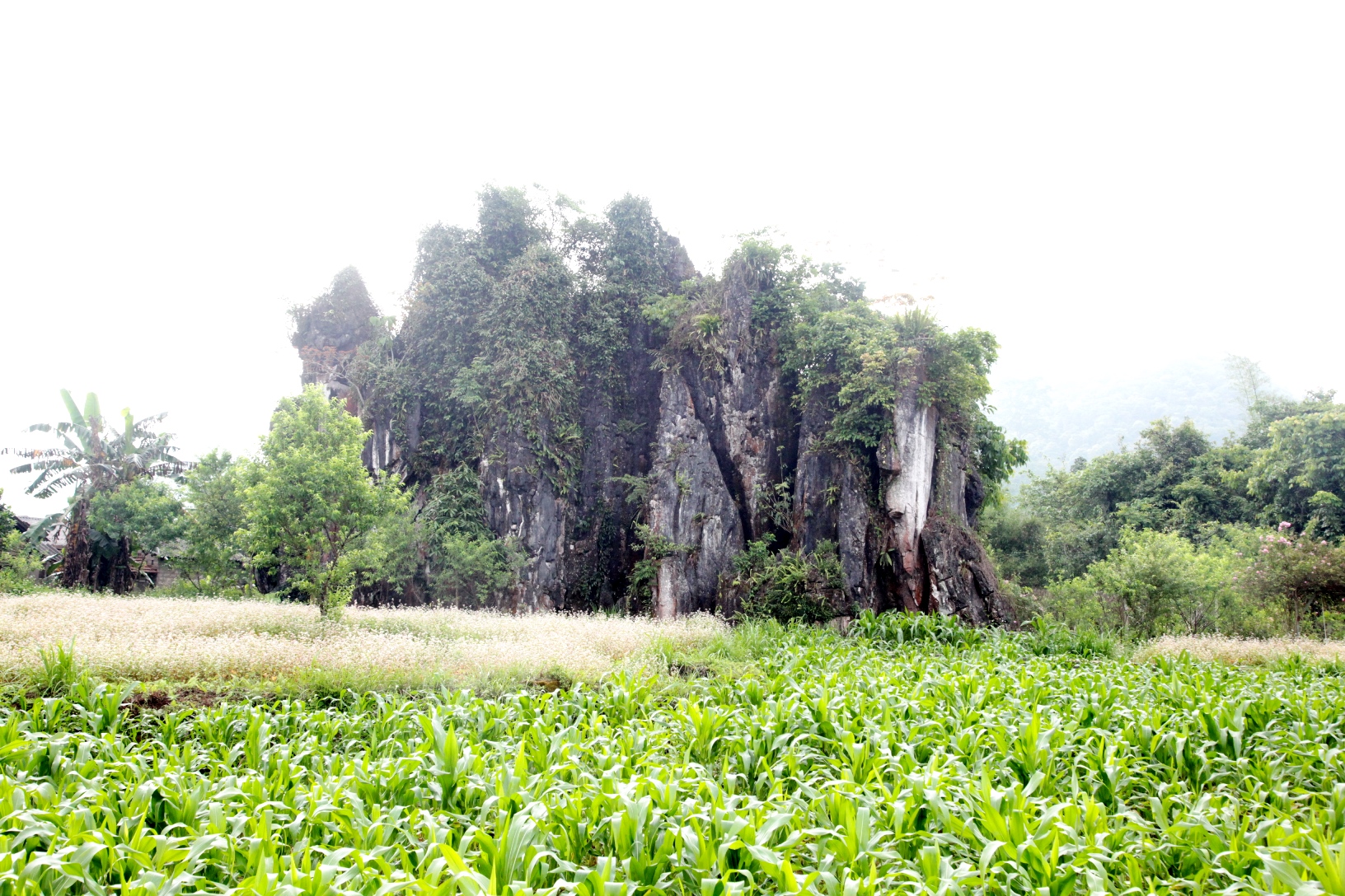Những cột đá Thạch Sơn Thần tại cửa ngõ cao nguyên đá Đồng Văn